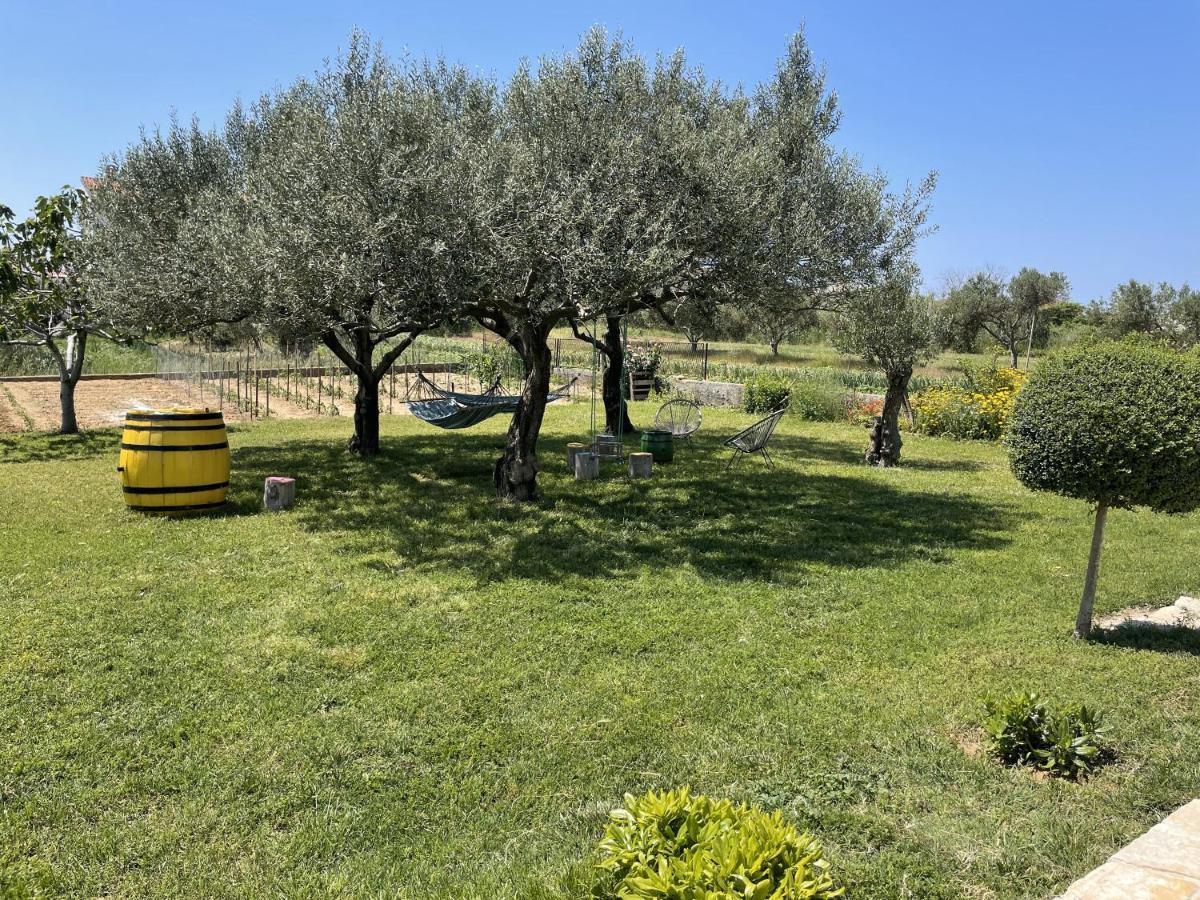 Bed&Breakfast Nada Privlaka  Εξωτερικό φωτογραφία